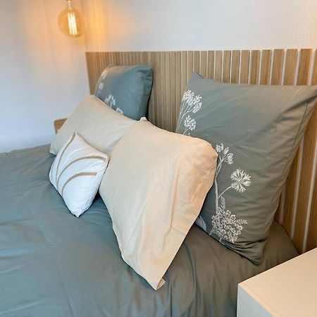 Apartmán Cocon Douillet Pres De La Gare. Nancy Exteriér fotografie