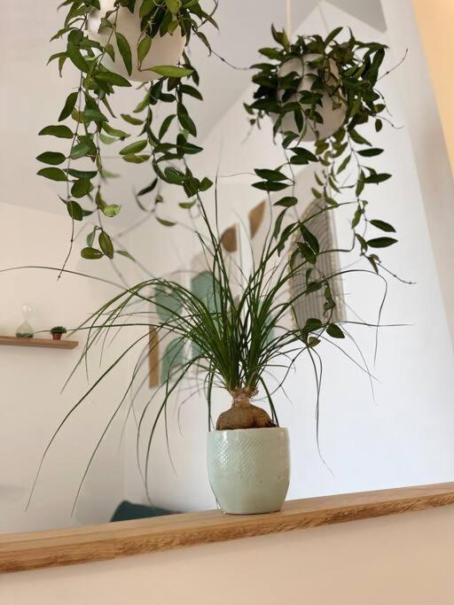 Apartmán Cocon Douillet Pres De La Gare. Nancy Exteriér fotografie