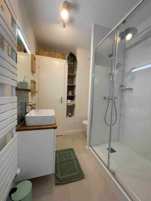 Apartmán Cocon Douillet Pres De La Gare. Nancy Exteriér fotografie